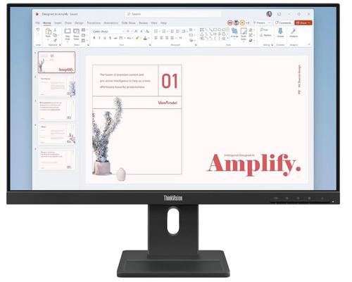 LENOVO ThinkVision E24-40, 23,8", FHD IPS, 16:9, 1920x1080, 6ms, 250nit, 1300:1, HDMI, DP, VGA, Repro, černá