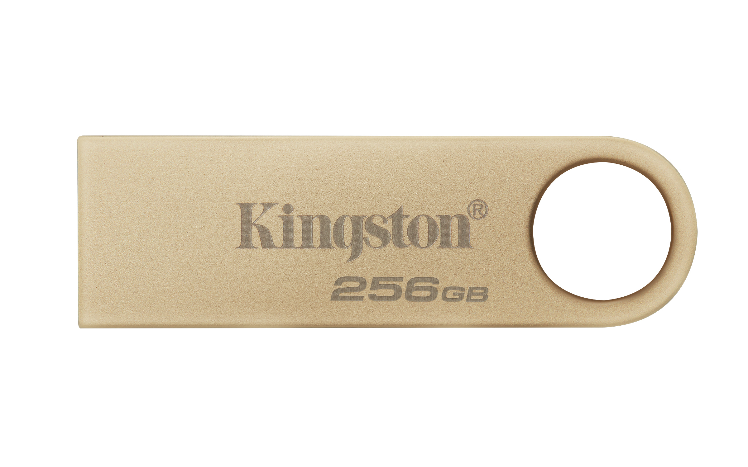 KINGSTON 256GB 220MB/s Kovový USB 3.2 Gen 3 DataTraveler SE9 G3