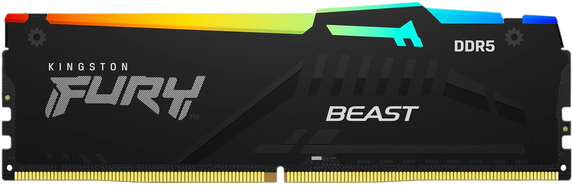 Kingston FURY Beast Black RGB 16GB Kit DDR5 5600MHz CL40
