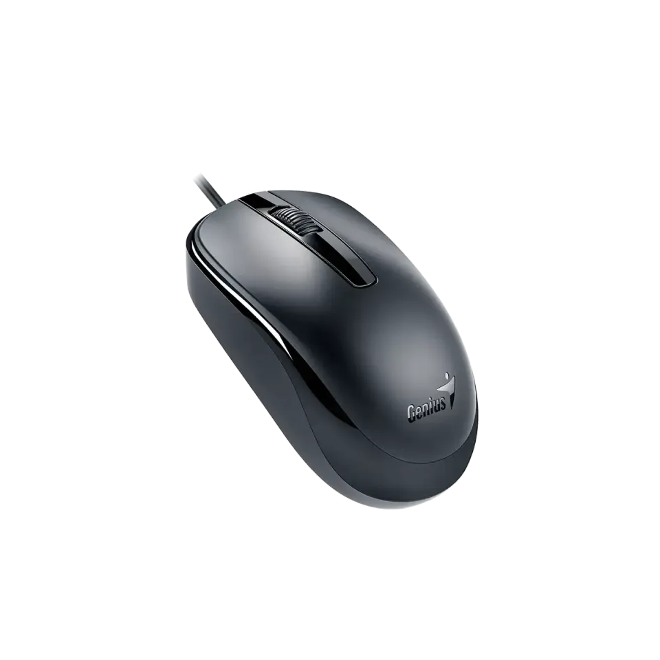 GENIUS myš DX-120 USB-C 1200dpi černá