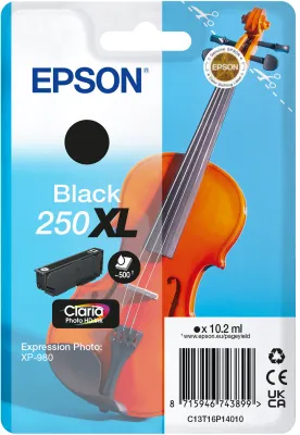 Epson Singlepack Black 250XL ink