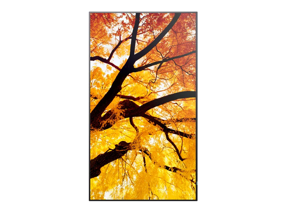 Sharp 32" MultiSync M322 - 24/7, 450 cd, VA LED, 1920 x 1080, 16:9, 8ms, 4000: