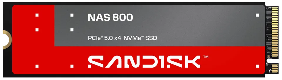 SANDISK NAS 800 NVMe SSD,960 GB, M.2 2280, TLC 3D NAND, (R:14900, W:11000MB/s)