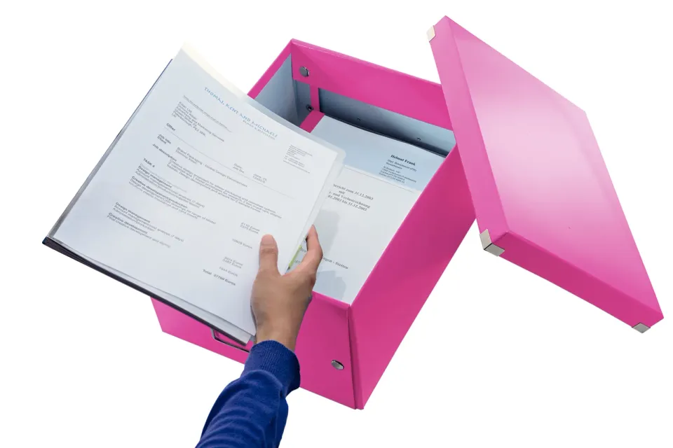 LEITZ Univerzální krabice Click&Store, velikost M (A4), růžová
