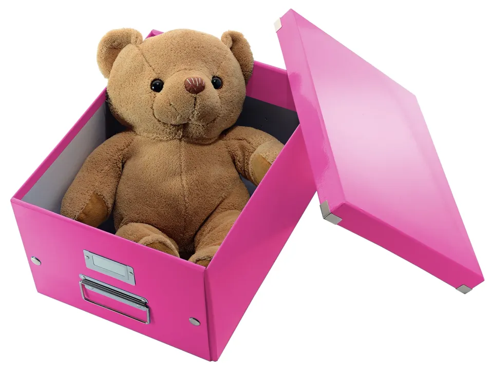 LEITZ Univerzální krabice Click&Store, velikost M (A4), růžová