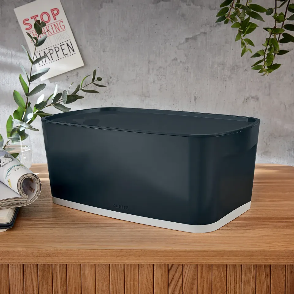 LEITZ Úložný box s víkem MyBox Cosy, velikost S, sametová šedá
