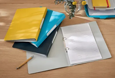 LEITZ Kroužkový pořadač Cosy PP 2RR, dvoukroužkový, teplá žlutá