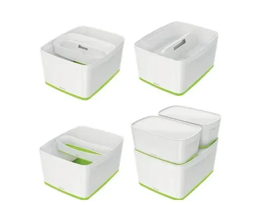 LEITZ Úložný box s víkem MyBox, velikost L, bílá/zelená