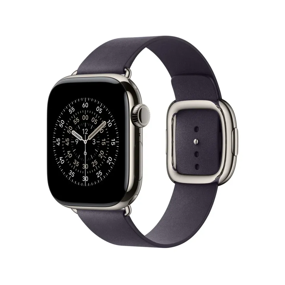 Watch Acc/42/Midnight Purple Modern Buckle - M