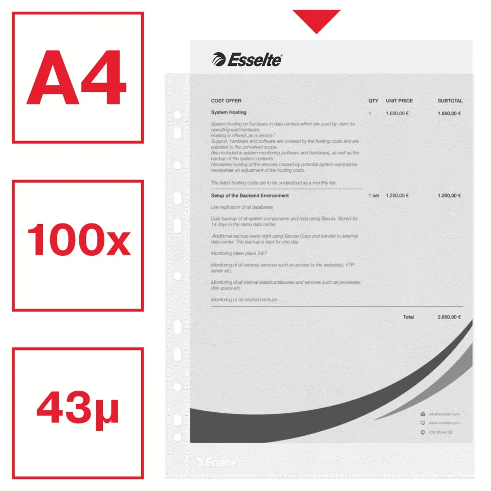 LEITZ Plastové kapsy Esselte Economy A4, OP, 43 mic, sáček 100 ks