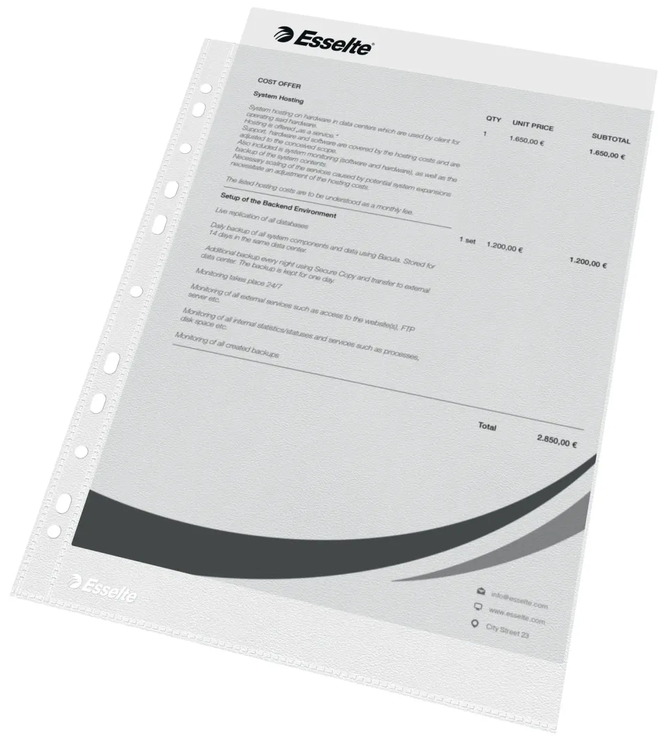 LEITZ Plastové kapsy Esselte Economy A4, OP, 43 mic, sáček 100 ks