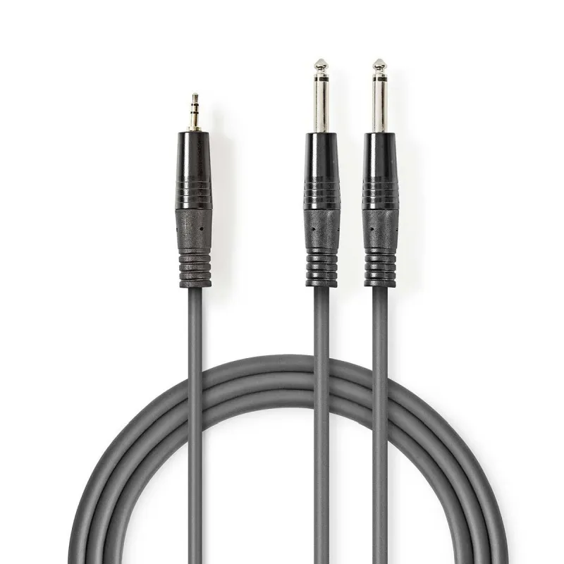 Nedis COTH23200GY50 - Stereofonní Audio Kabel | 2x 6,35mm Zástrčka – 3,5mm Zástr