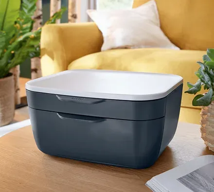 LEITZ Zásuvkový box Cosy, sametová šedá