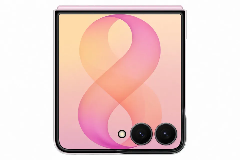 Samsung Průhledný kryt s magnetem pro Galaxy Z Flip8, Transparent