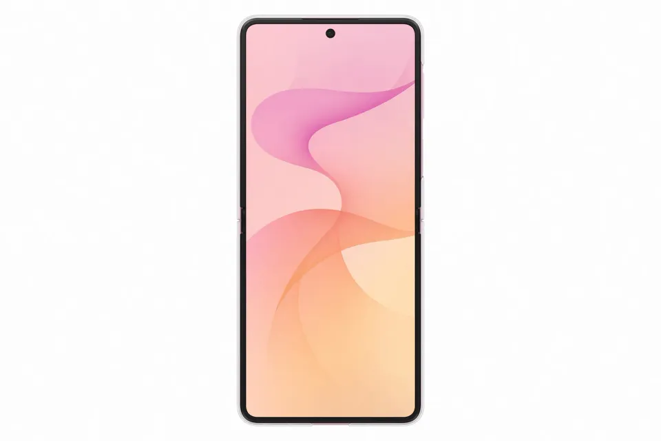 Samsung Průhledný kryt s magnetem pro Galaxy Z Flip8, Transparent