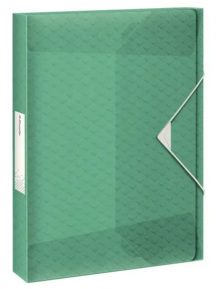 Esselte box na spisy Colour'Ice, zelený