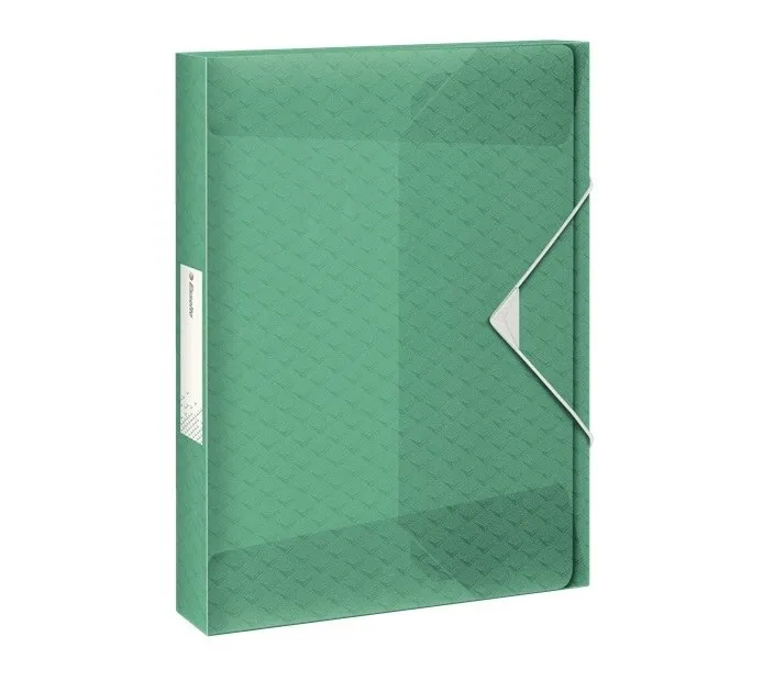 Esselte box na spisy Colour'Ice, zelený (626265)