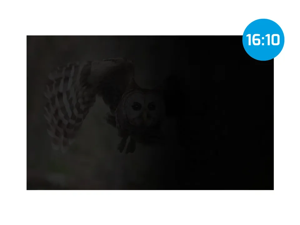Privátní filtr Natec OWL 16" 16:10