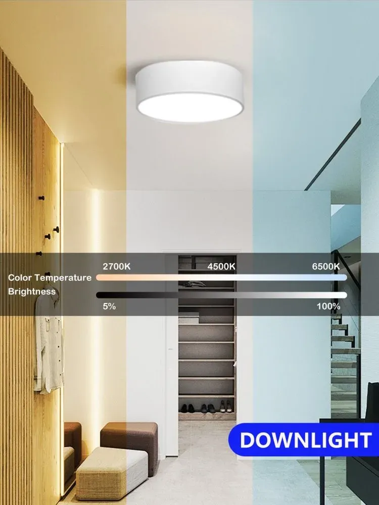 IMMAX NEO RONDATE SLIM SMART stropní svítidlo 25 x 7cm 18W Zigbee 3.0, TUYA, bílé