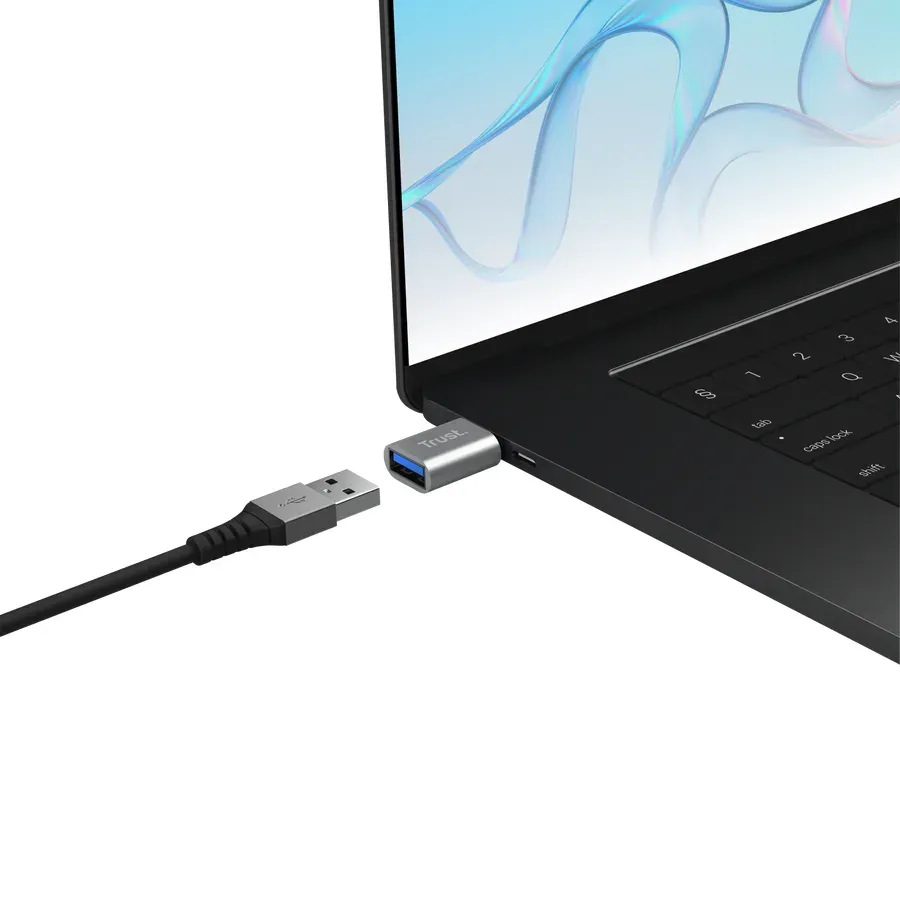 TRUST Adaptér Calyx USB-C na USB-A, 2ks