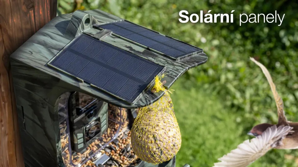 EVOLVEO StrongVision BirdFeeder - Chytré krmítko pro ptáky s kamerou a solárním