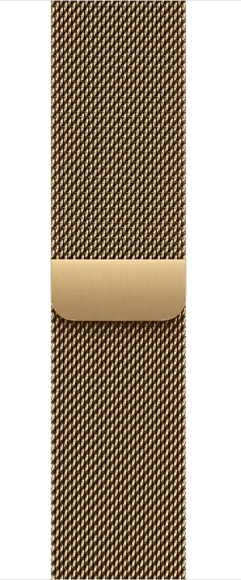 Watch Acc/40/Radiant Gold Milanese Loop