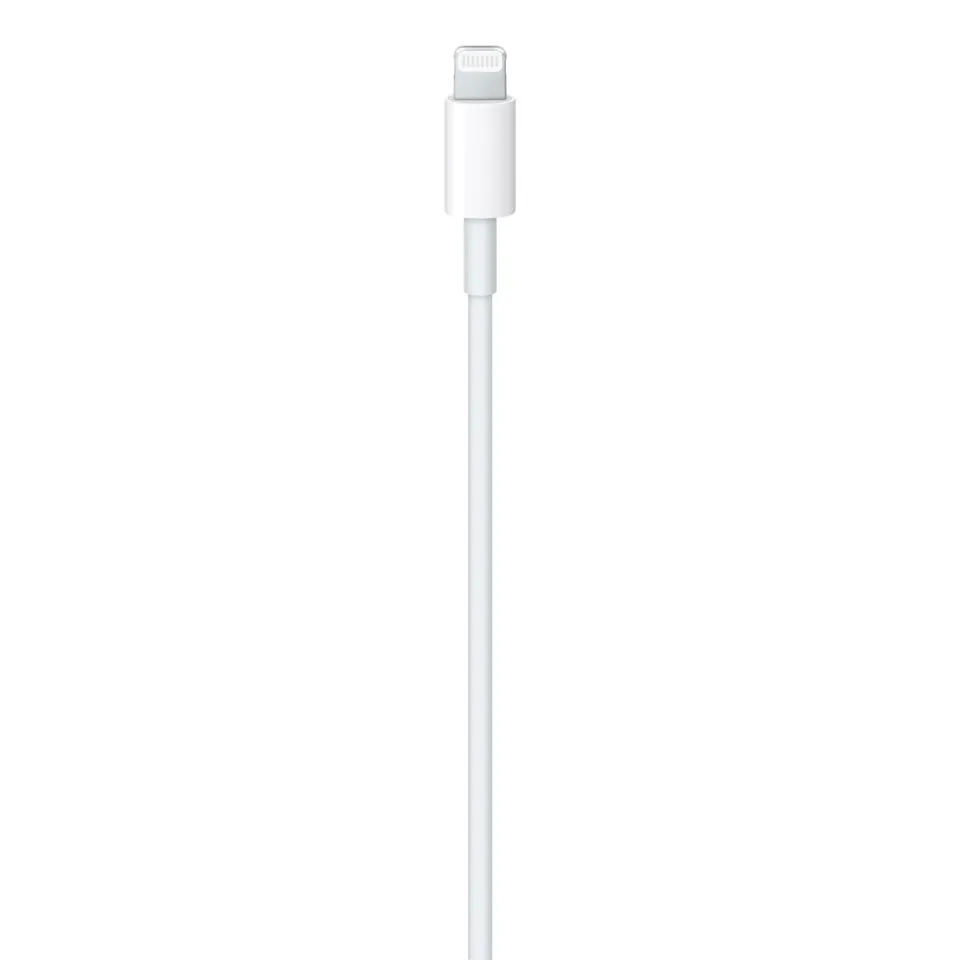 USB-C to Lightning Cable (2 m) / SK