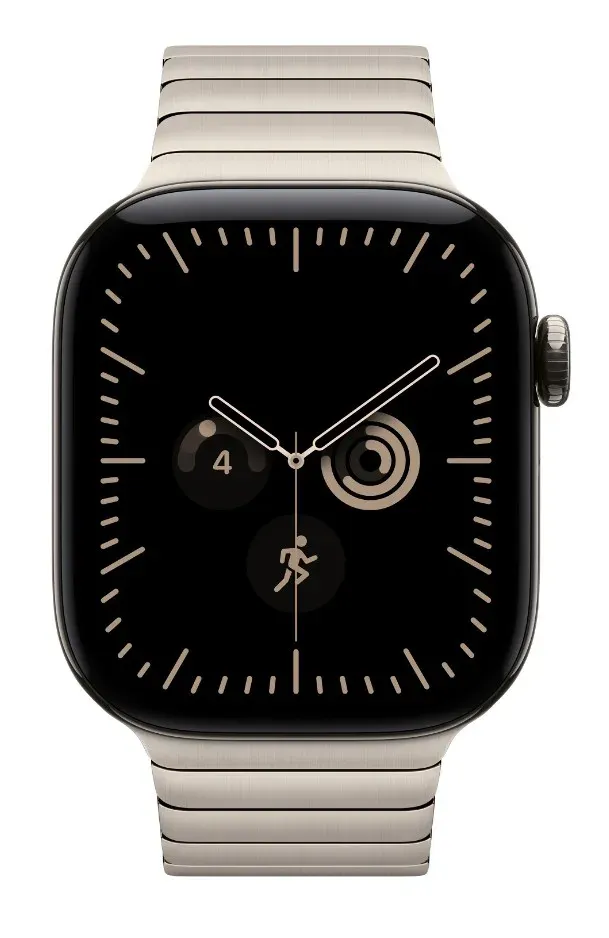Watch Acc/42/Natural Link Bracelet