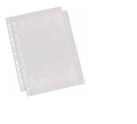LEITZ Plastové kapsy Esselte Standard A4, GC, 55 mic, box 100 ks