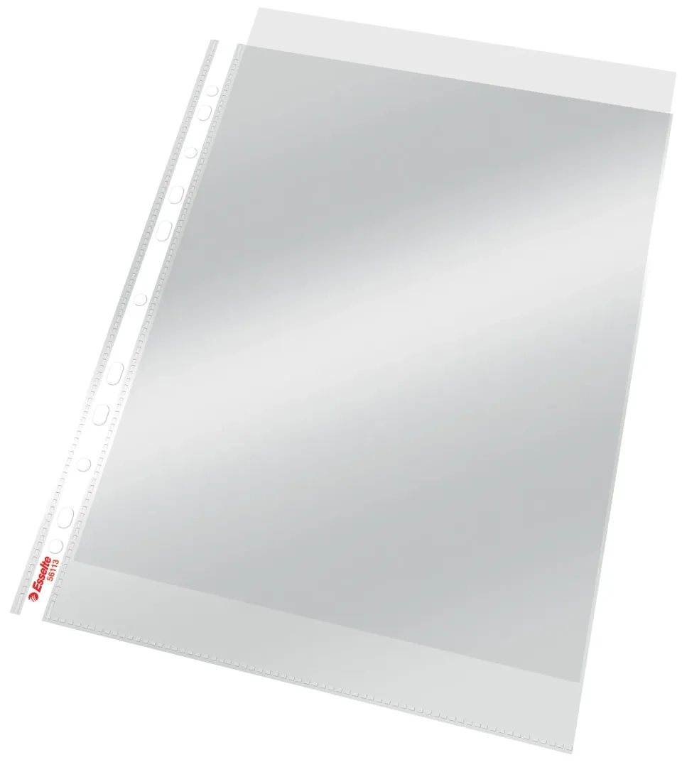 LEITZ Plastové kapsy Esselte Standard A4, GC, 75 mic, box 100 ks