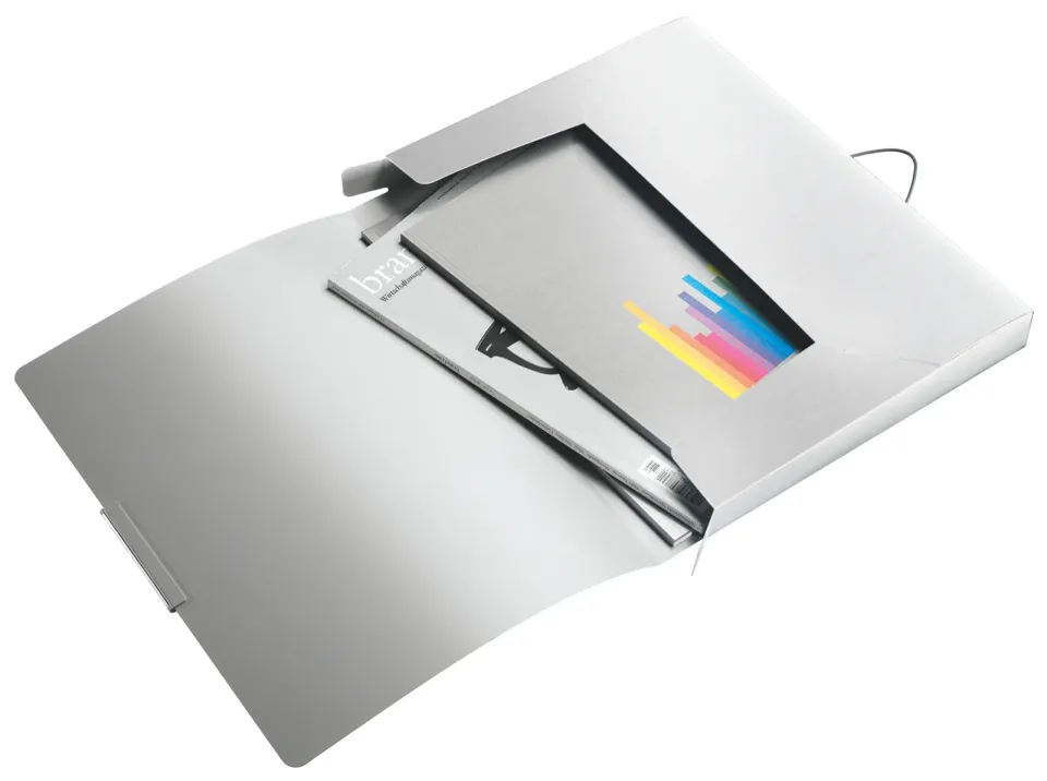 LEITZ Box na dokumenty STYLE, arktická bílá