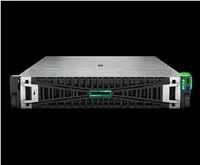 HPE PL DL345g11 AMD Epyc 9115 (2.6G/16C) 2x32G (P64985) 2x960G 2x1000W MR416i-p 8LFF 4p1G Arm Smart Choice