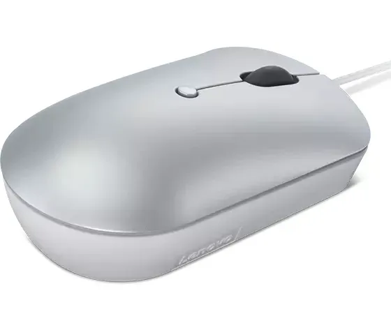 Lenovo myš CONS 540 USB-C kabelová kompaktní - stříbrná (Cloud Grey)