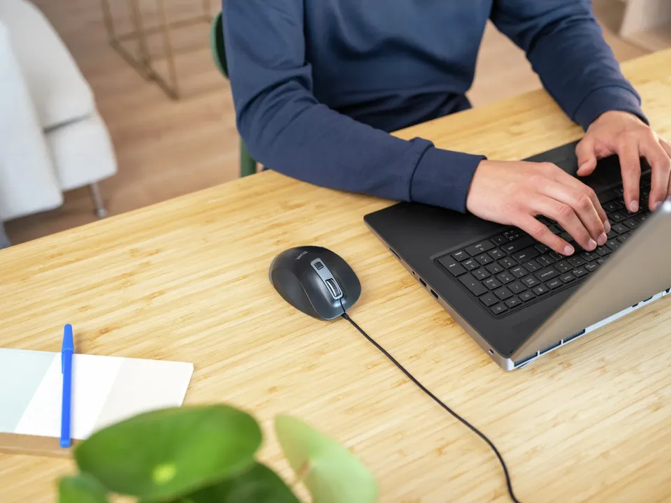 TRUST myš Fyda Mouse Eco, optická, USB