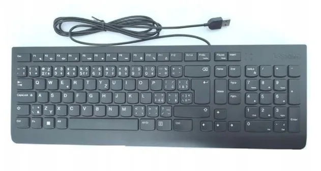 Lenovo Essential Wired Keyboard/Drátové USB-A/CZ/SK/Černá