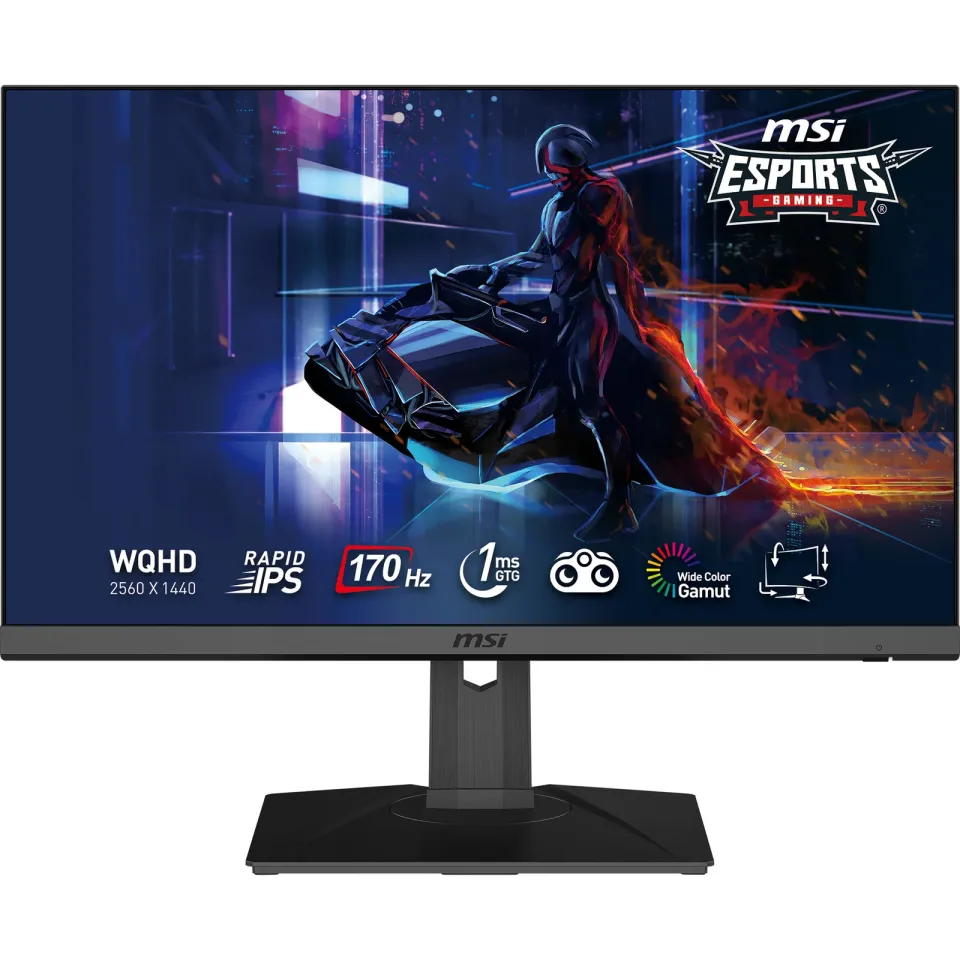 MSI Gaming monitor G272QPF, 27"/2560x1440 (WQHD)/Rapid IPS, 170Hz/1ms/1000:1/300