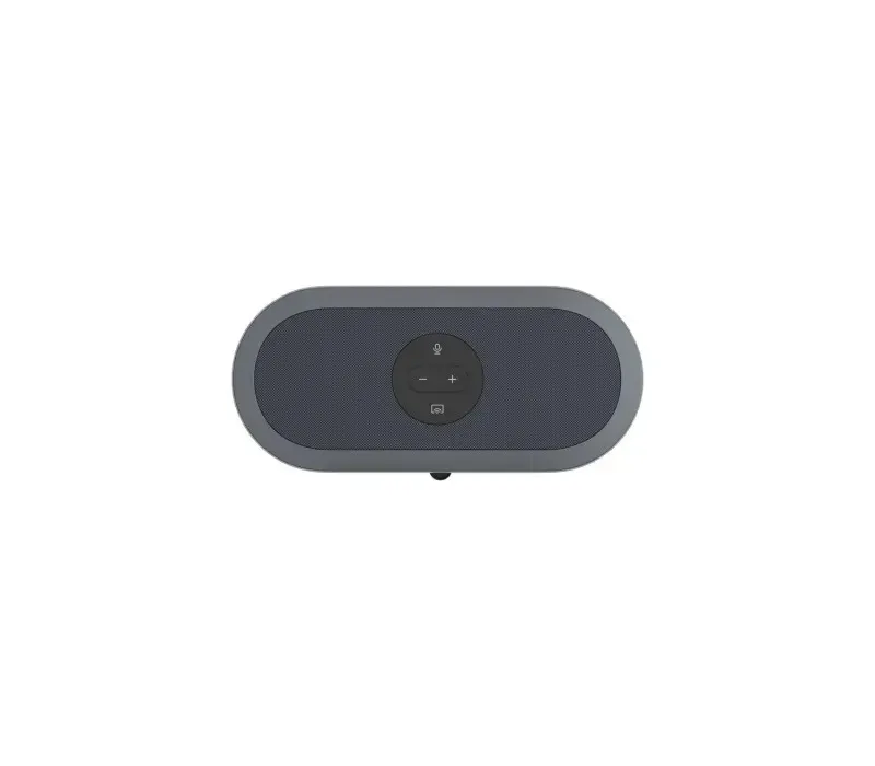 iiyama - mic and speaker