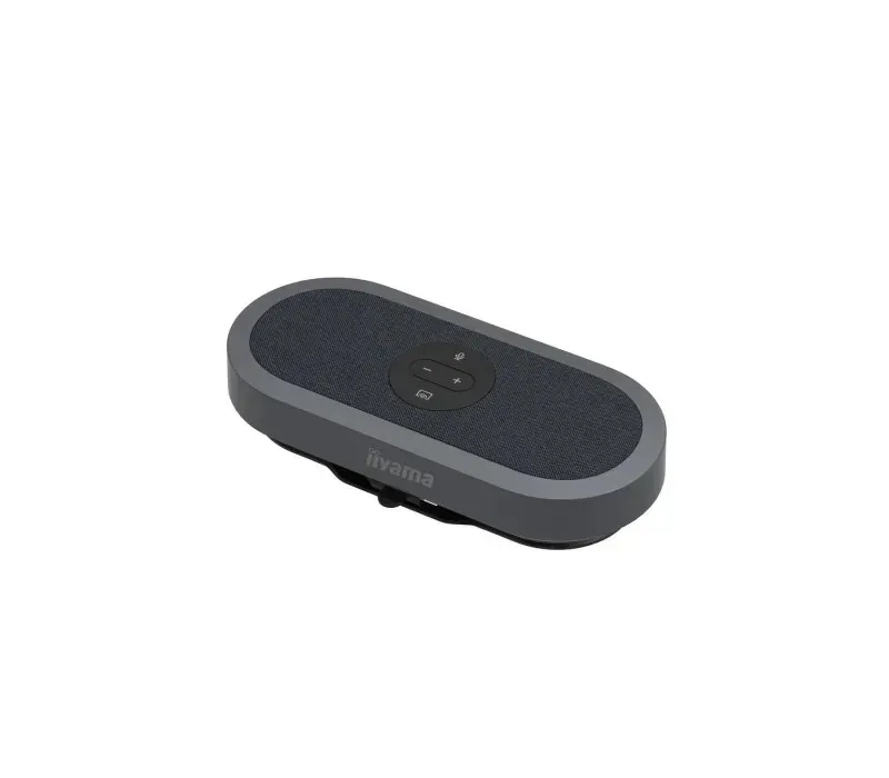 iiyama - mic and speaker
