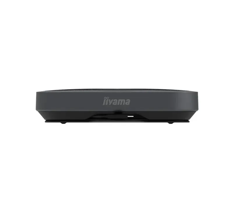 iiyama - mic and speaker