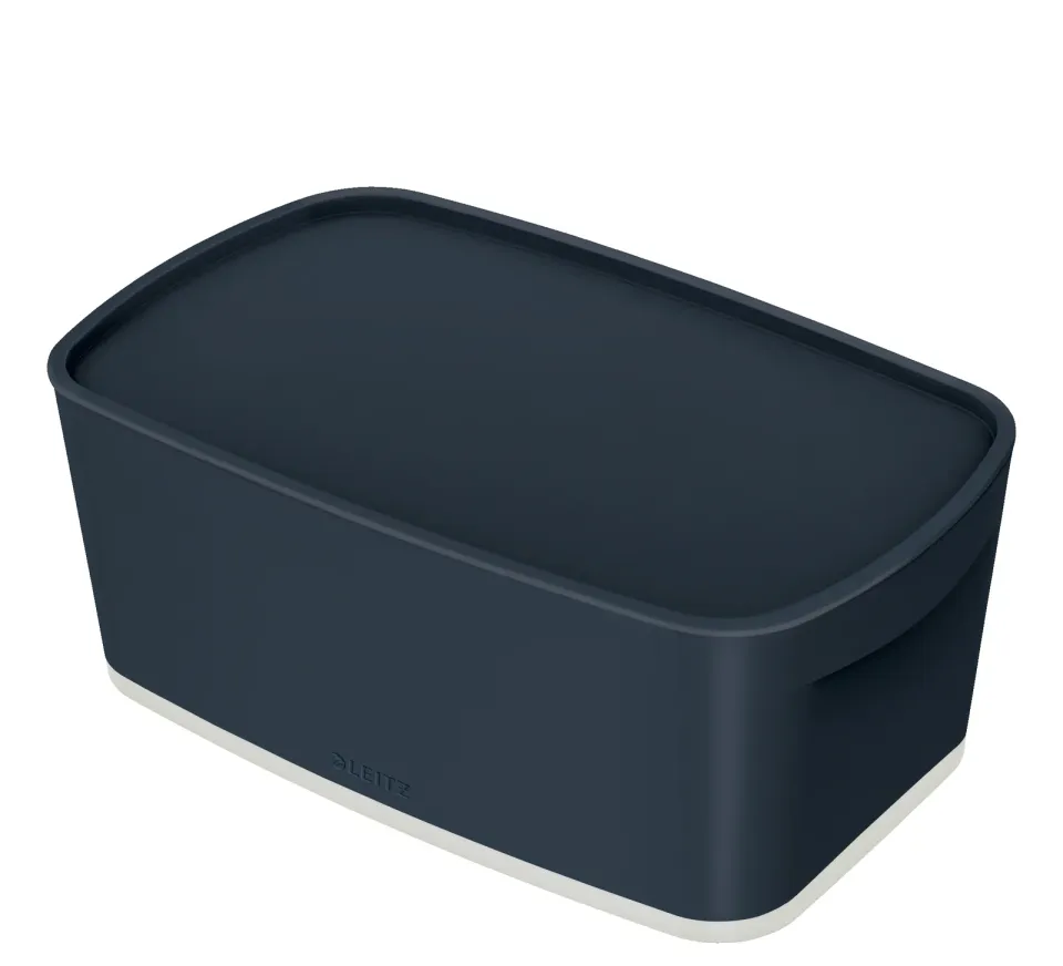 LEITZ Úložný box s víkem MyBox Cosy + Organizér s držadlem, velikost S, sametov