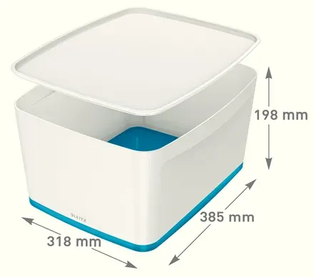 LEITZ Úložný box s víkem MyBox, velikost L, bílá/modrá