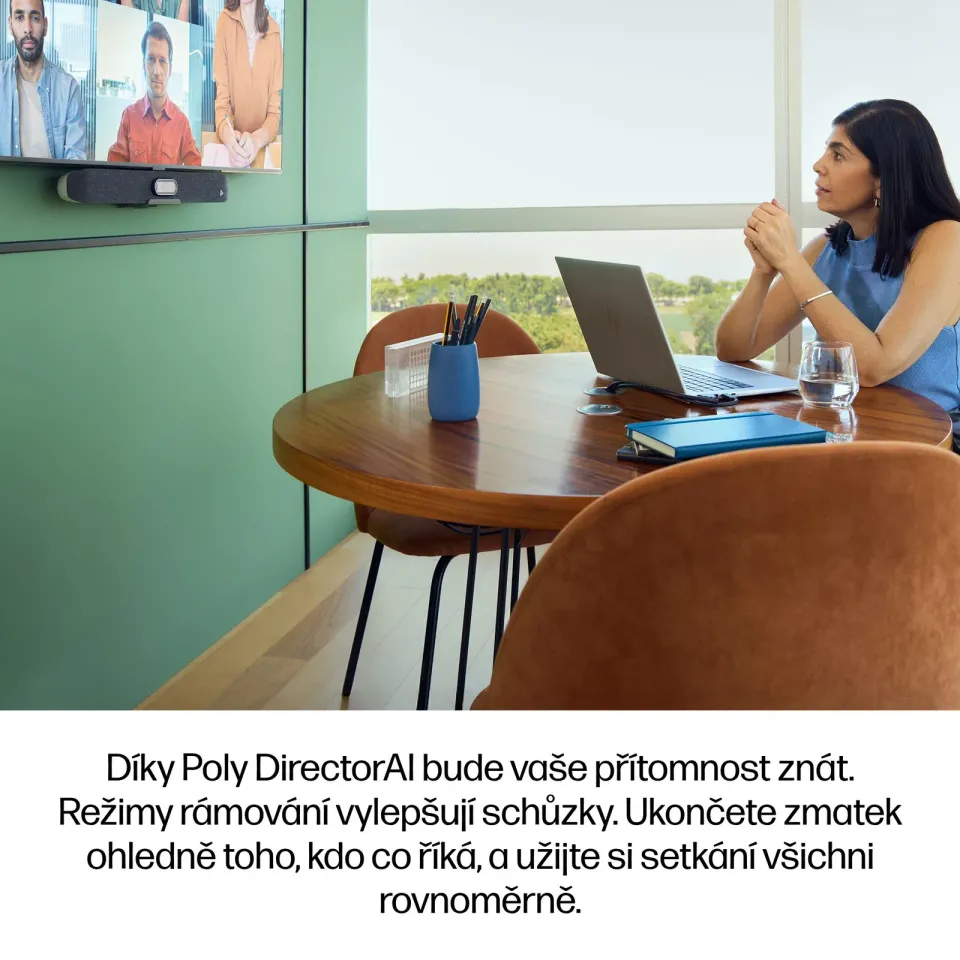 Poly Studio V12