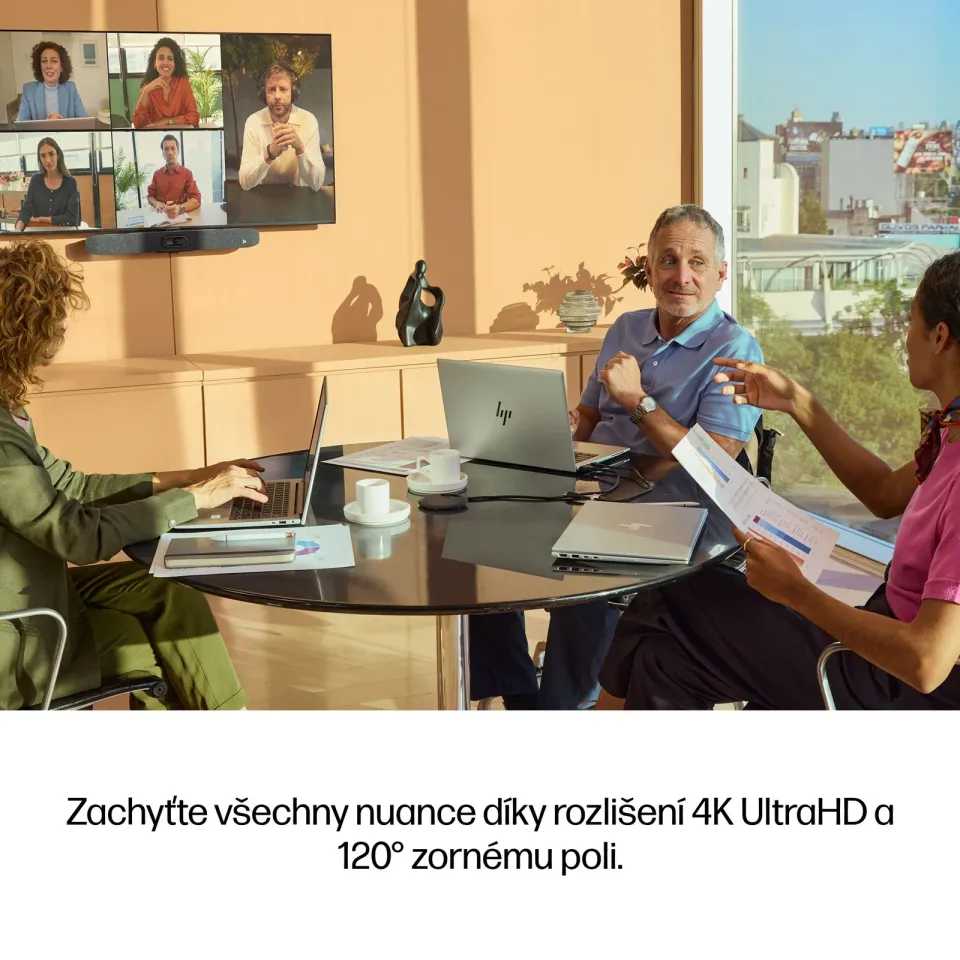 Poly Studio V12