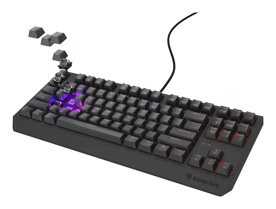 Genesis herní klávesnice THOR 230/TKL/RGB/Outemu Brown/Drátová USB/US layout/Černá
