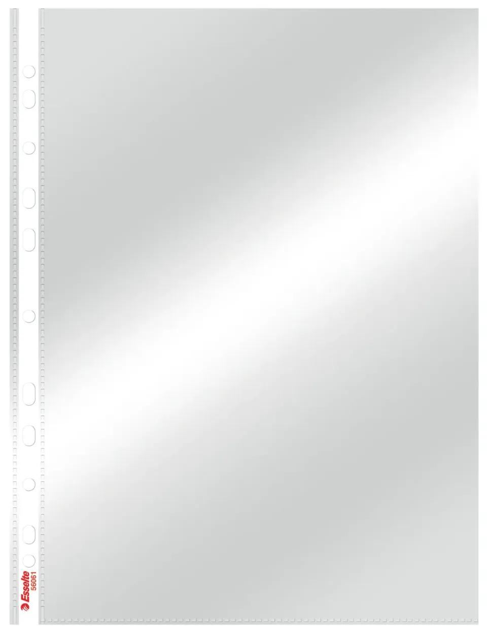 LEITZ Plastové kapsy Esselte Standard A4, GC, 55 mic, sáček 10