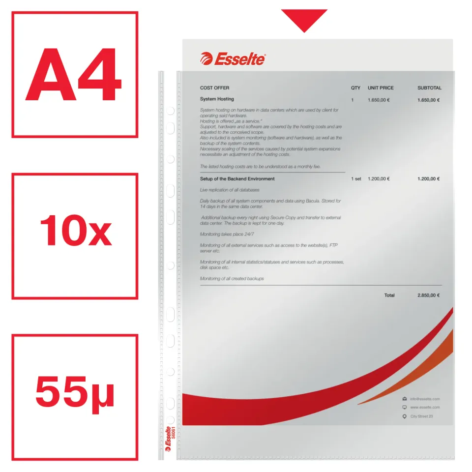 LEITZ Plastové kapsy Esselte Standard A4, GC, 55 mic, sáček 10