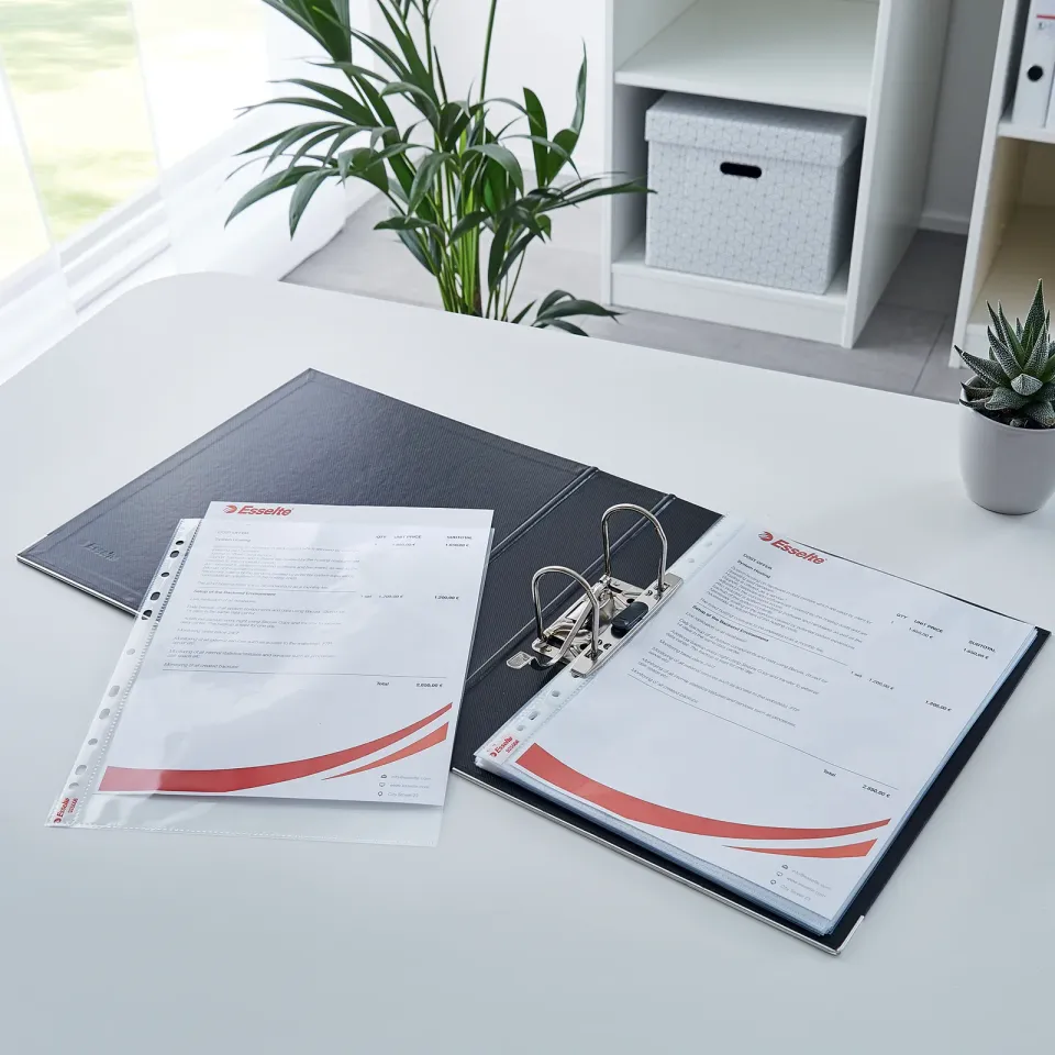 LEITZ Plastové kapsy Esselte Standard A4, GC, 55 mic, sáček 10