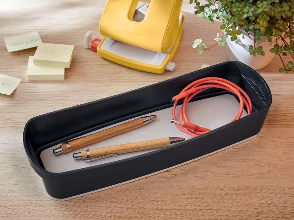 LEITZ Organizér s držadlem MyBox Cosy, sametová šedá
