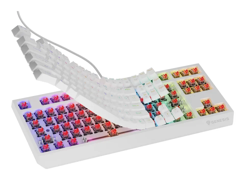 Genesis herní klávesnice THOR 230/TKL/RGB/Outemu Red/Drátová USB/US layout/Bílá
