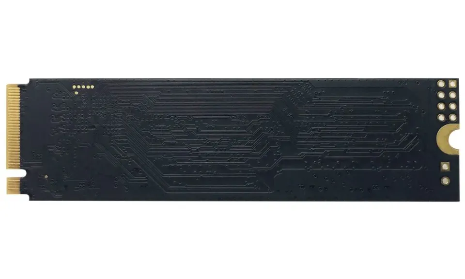 PATRIOT P310/240GB/SSD/M.2 NVMe/5R